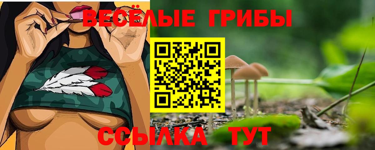 где продают наркотики  Вход с VPN  Елизово  Галлюциногенные грибы MAGIC MUSHROOMS  Псилоцибиновые грибы Psilocybine cubensis 